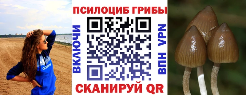 Псилоцибиновые грибы MAGIC MUSHROOMS  Среднеколымск 